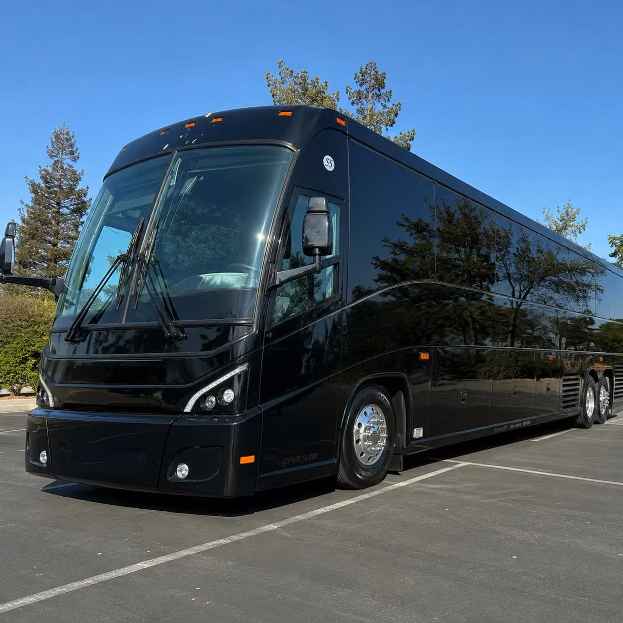 washington d c group travel from south brunswick long distance done right
